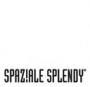 SpazialeSpendy